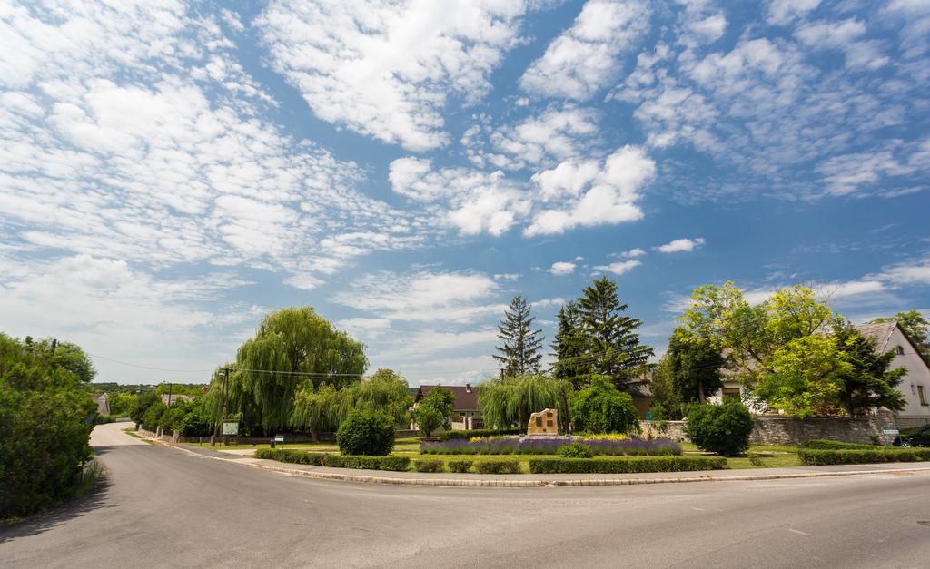 Bordoma Falusi Vendeghaz Balatonszolos Exteriér fotografie